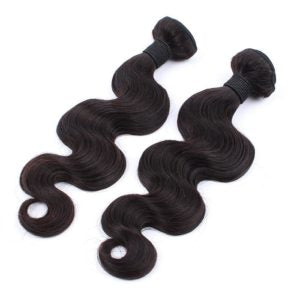 Two Bundles Brazilian Body Wave